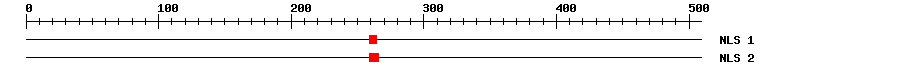 NLS