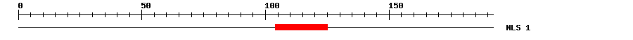 NLS