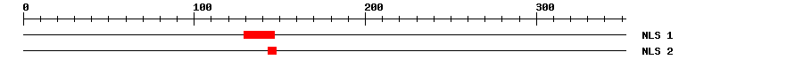 NLS