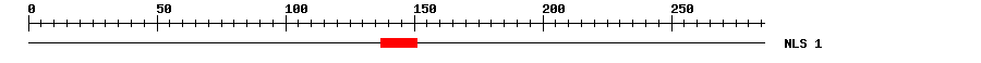 NLS