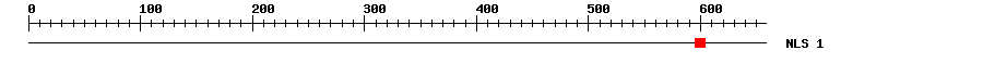 NLS