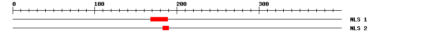 NLS