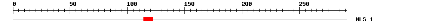 NLS