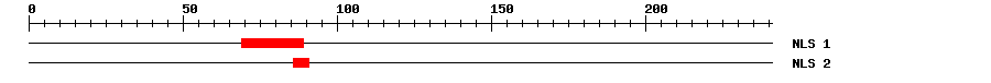 NLS