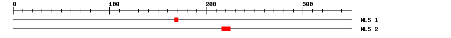 NLS