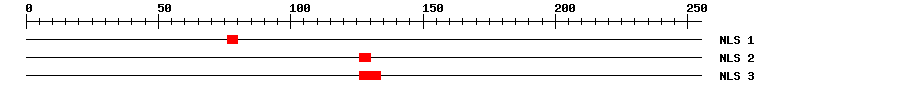 NLS