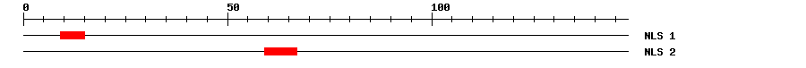 NLS