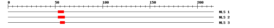 NLS