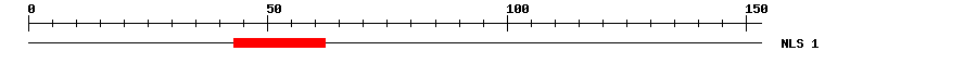 NLS