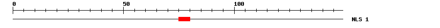 NLS