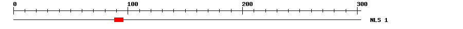 NLS