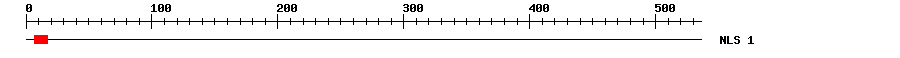 NLS