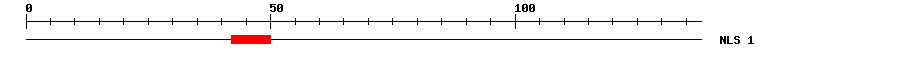 NLS