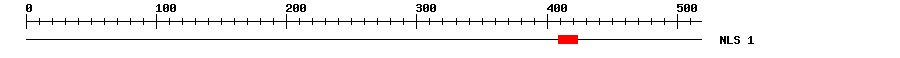 NLS