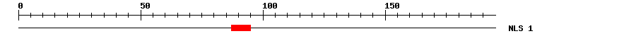 NLS