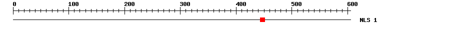 NLS