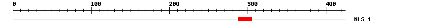 NLS