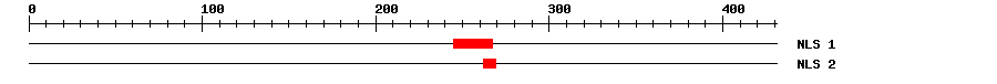 NLS