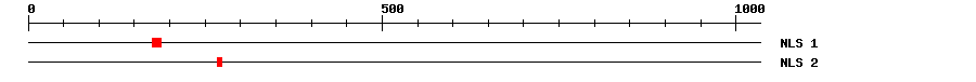NLS