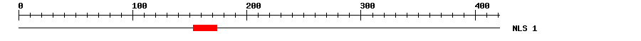 NLS