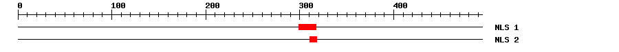 NLS