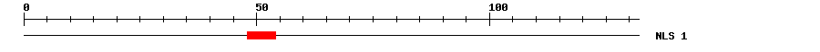 NLS