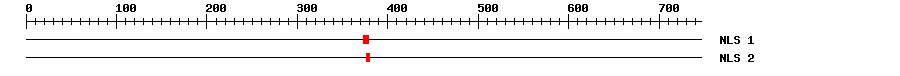 NLS