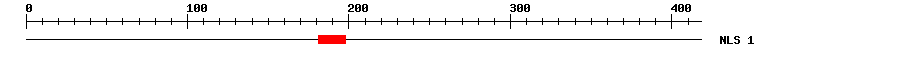 NLS