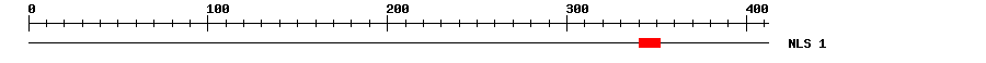 NLS