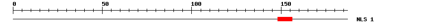 NLS