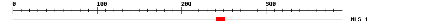 NLS