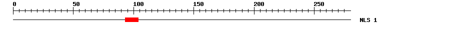 NLS