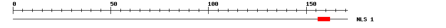 NLS