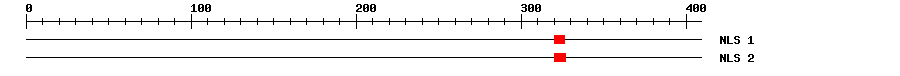 NLS