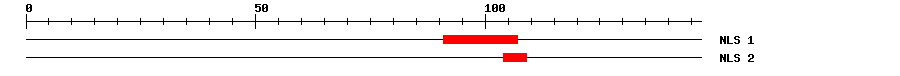 NLS