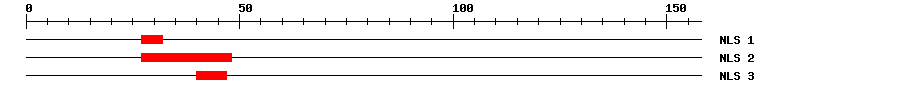 NLS