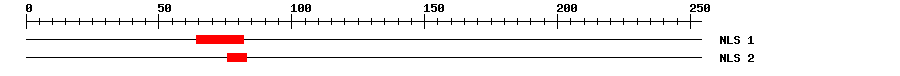 NLS