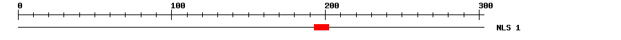 NLS