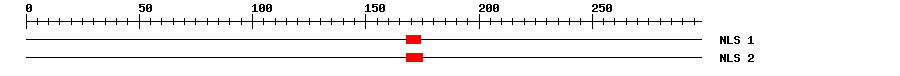 NLS