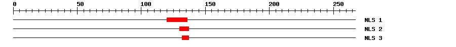 NLS