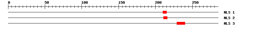 NLS