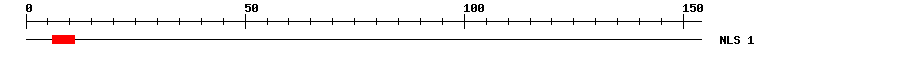 NLS