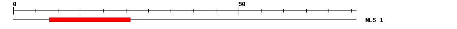 NLS