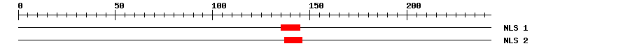 NLS