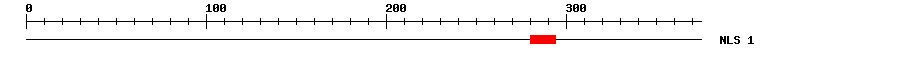 NLS