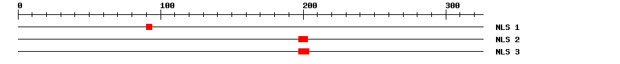 NLS