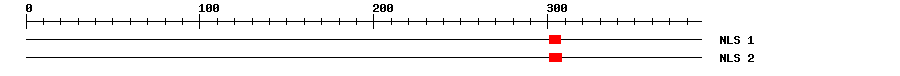 NLS