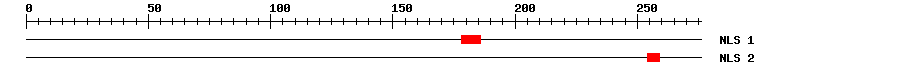 NLS