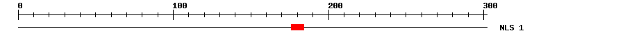 NLS