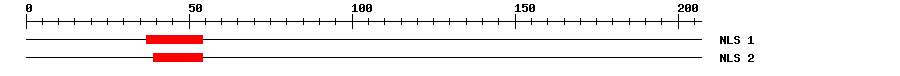 NLS